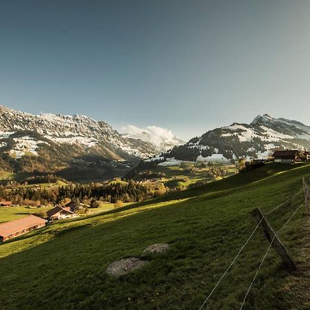 Chalet Bergwelt Frutigen Εξωτερικό φωτογραφία