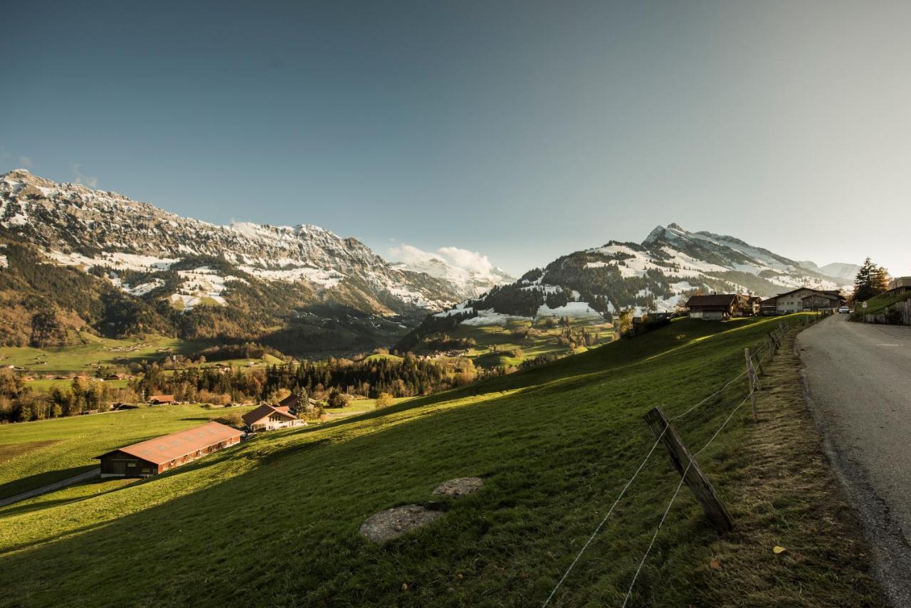 Chalet Bergwelt Frutigen Εξωτερικό φωτογραφία