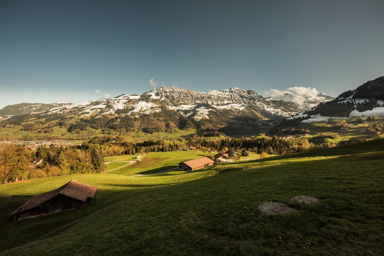 Chalet Bergwelt Frutigen Εξωτερικό φωτογραφία
